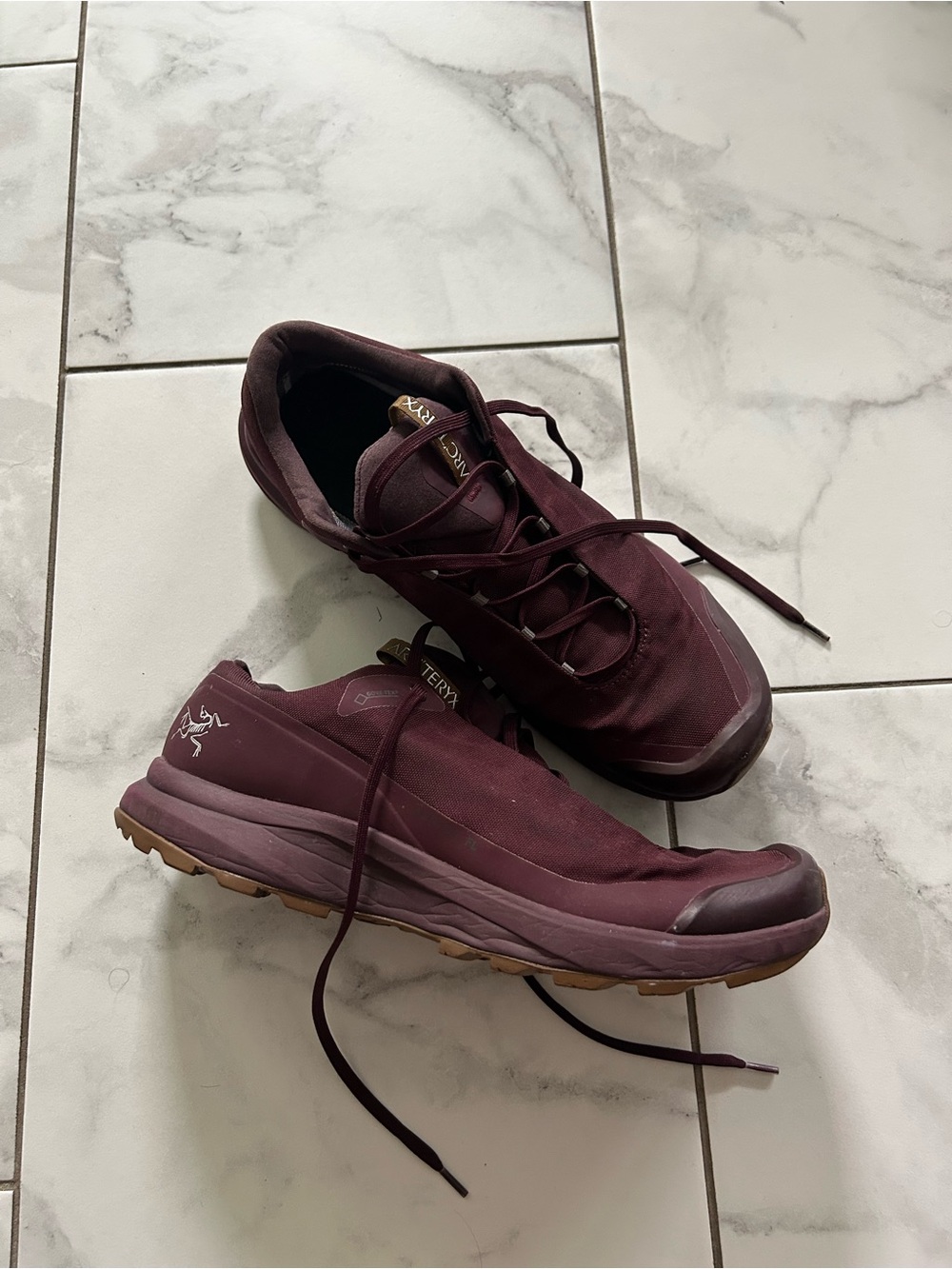 Arc'teryx Aerios FL GTX Trail Hiking Shoes Plum / Burgundy